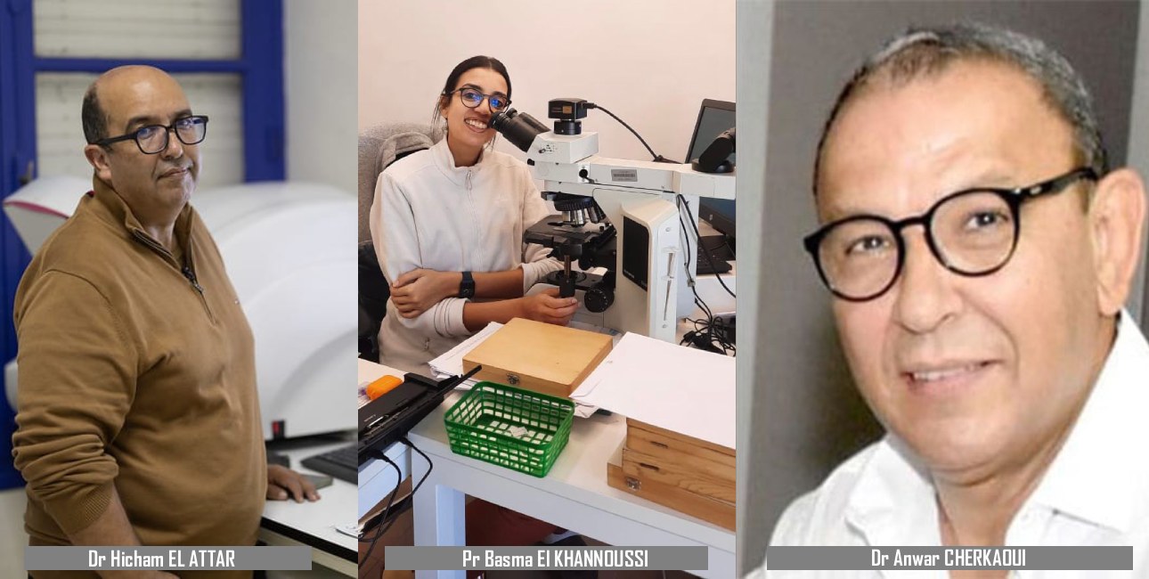 Le médecin pathologiste est un acteur central de toute stratégie thérapeutique contre les cancers