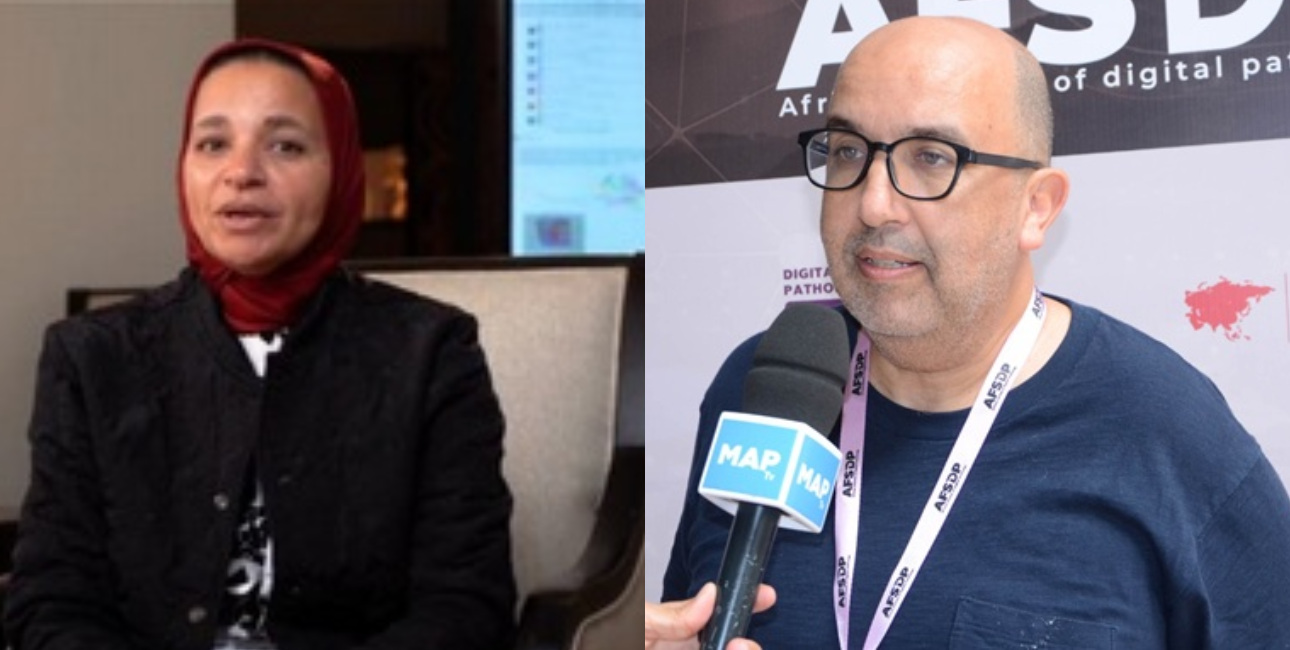 Après Agadir 2026, l’Égypte accueillera le 3ème congrès Africain d’anatomopathologie digitale