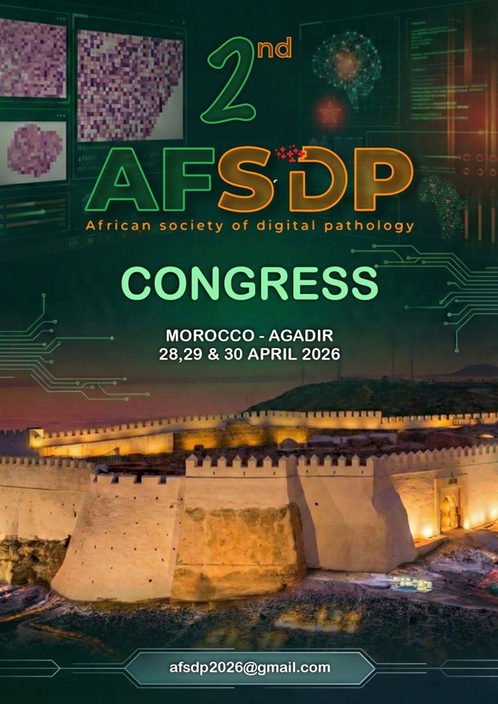 Affiche AFSDP 04022026